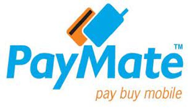 Paymate India Ipo